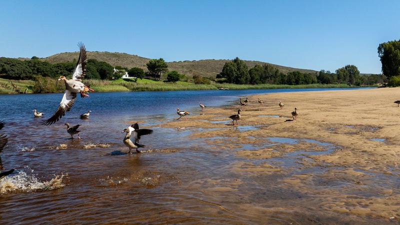 4 Bedroom Property for Sale in Malgas Western Cape